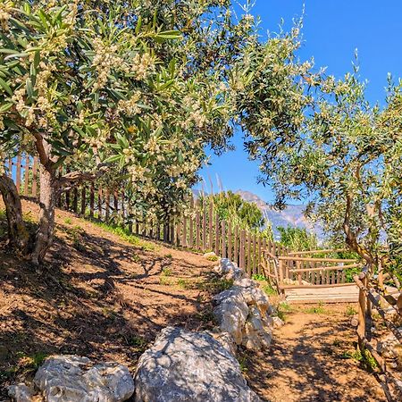 Ci Vulia B&B - Sicilia Sea, Pool, Bbq, Tv, Wi-Fi Alcamo Marina Εξωτερικό φωτογραφία